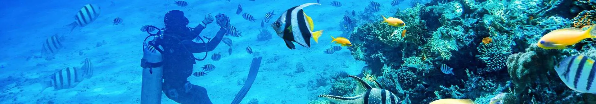  Курс Discover Scuba Diving